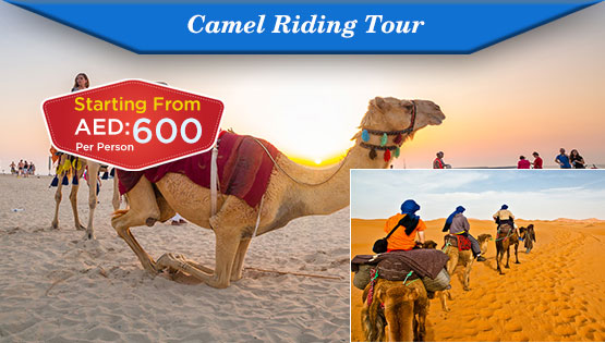 Camel Riding Tour