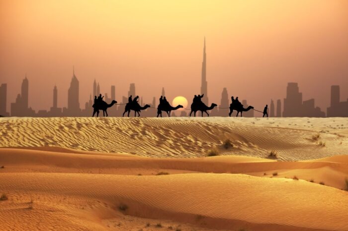 Desert Safari