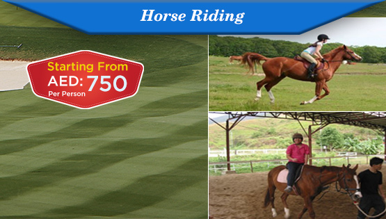 Horse Riding