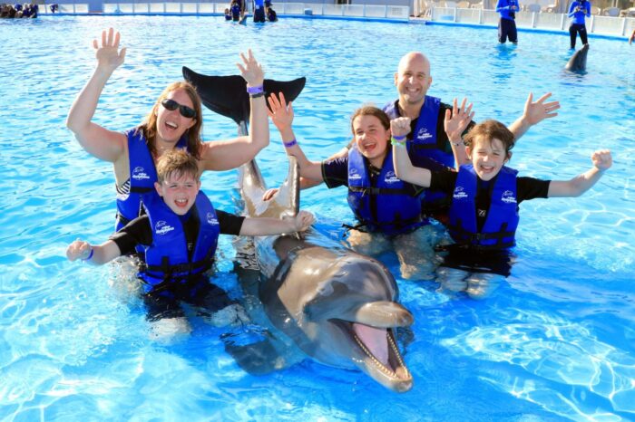 Swim with Dolphin